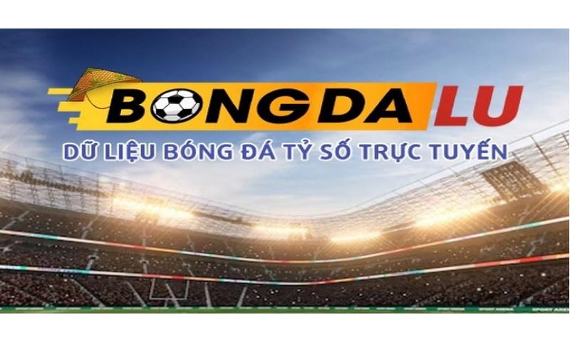 Không khí thể thao sôi động tại Bongdalu4